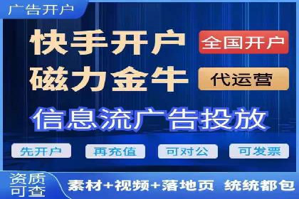 某行业领军企业的SEM广告投放策略